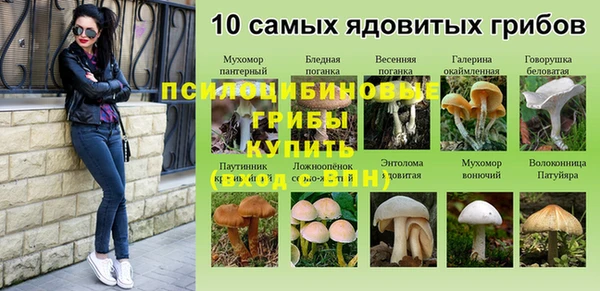 мдпв Абинск